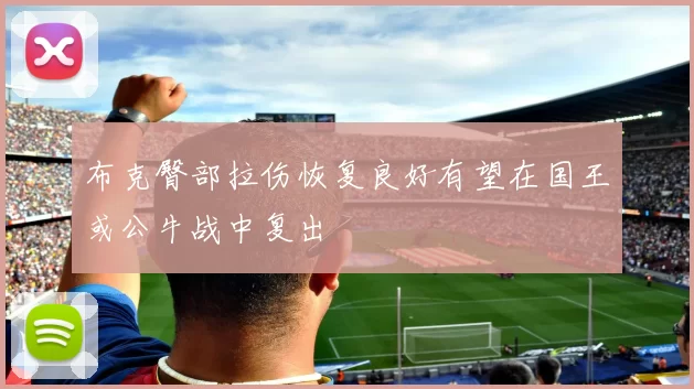 布克臀部拉伤恢复良好有望在国王或公牛战中复出